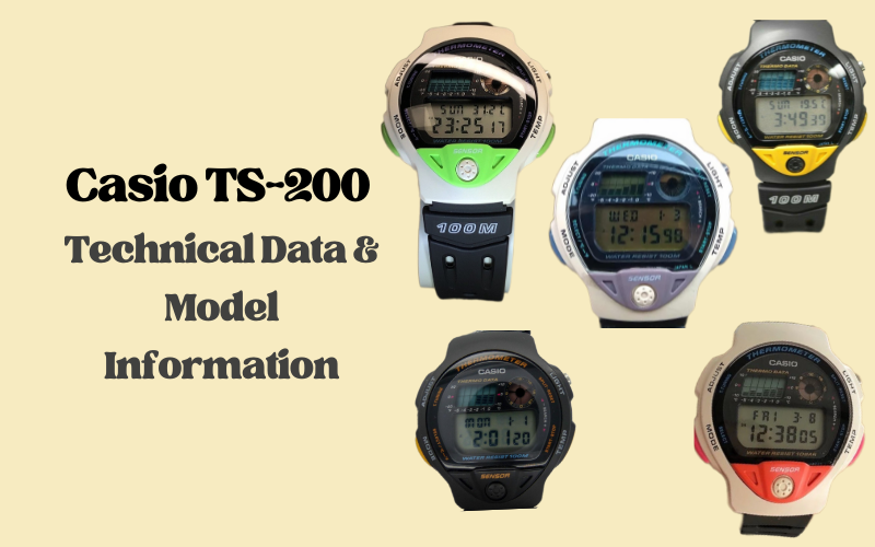 Casio TS-200 – Technical Data & Model Information